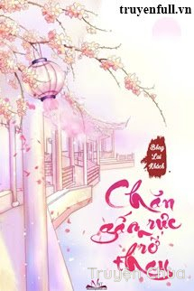 Chăn Gấm Rực Rỡ Thay
