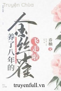 Chim Hoàng Yến Nuôi Tám Năm Đã Bay Đi Rồi