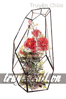 Đoản Ngọt – Tình Văn