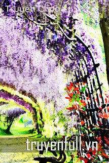 Hoa Tử Đằng Nở Đầy Trên Hàng Rào