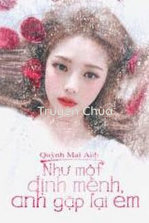 Như Một Định Mệnh, Anh Gặp Lại Em