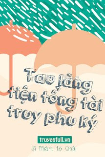Tao Lãng Tiện Tổng Tài Truy Phu Ký