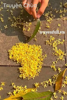 Tên Của Anh Ấy