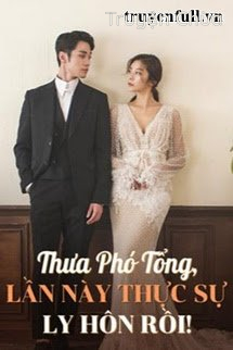 Thưa Phó Tổng, Lần Này Thực Sự Ly Hôn Rồi!
